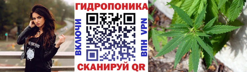 Бошки Шишки Кинель