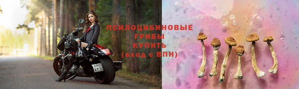 ешки Бородино
