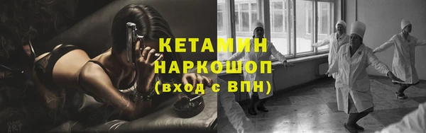 ешки Бородино