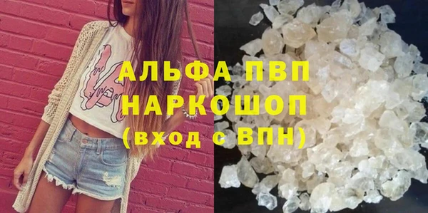ешки Бородино
