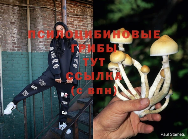 шишки Бугульма