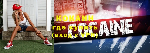 ешки Бородино